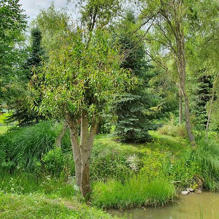 Kamilla Kulcsoshaz Villa Sub Cetate ภายนอก รูปภาพ