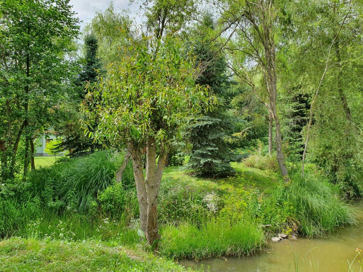 Kamilla Kulcsoshaz Villa Sub Cetate ภายนอก รูปภาพ